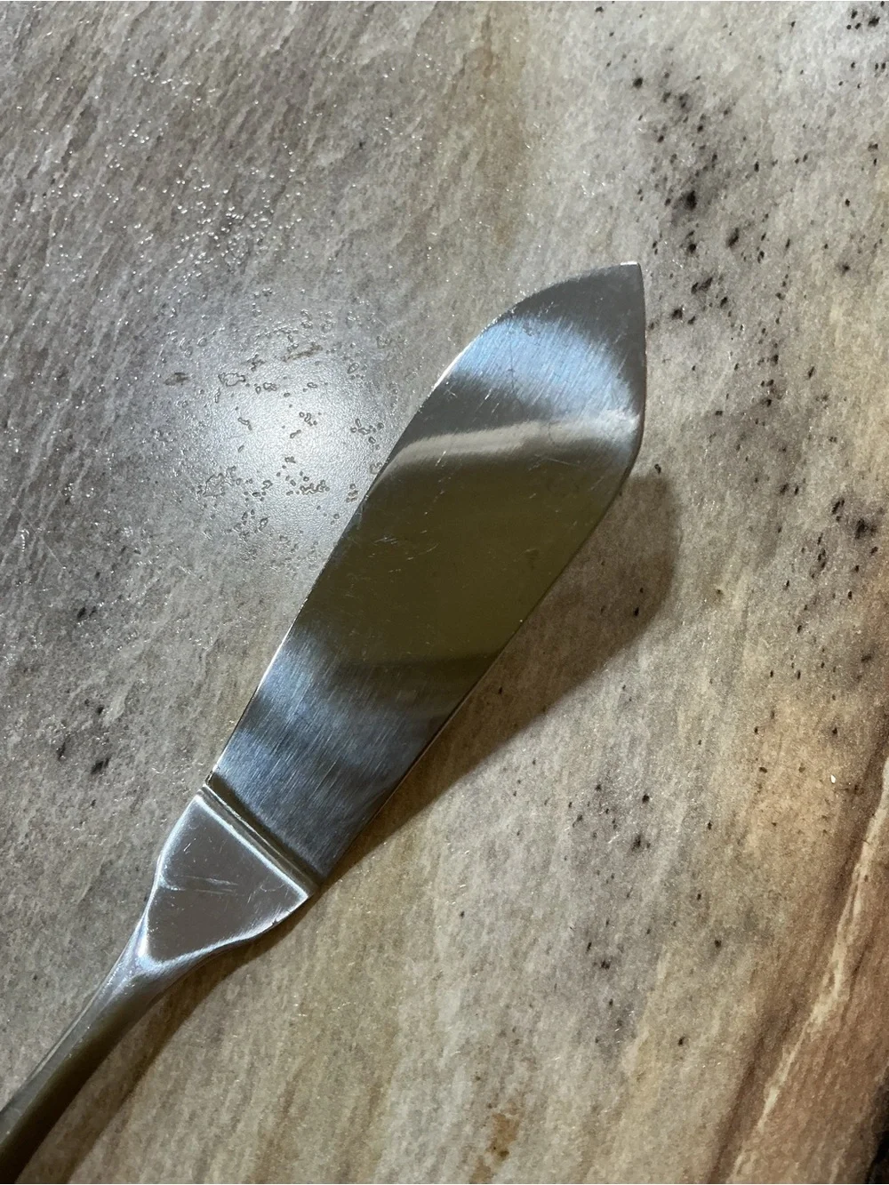 Mikasa Emile Master Butter Knife Stainless Steel Flatware 7” Glossy Modern
